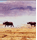 rhinosm